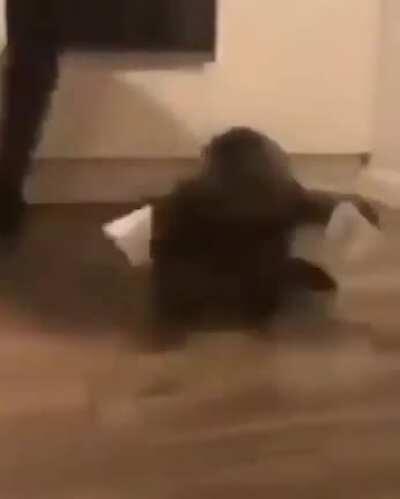 Mi primer post, quiero salir en el video del dylan