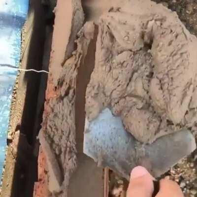 forbidden peanut butter