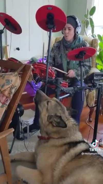 How can I hire this band?