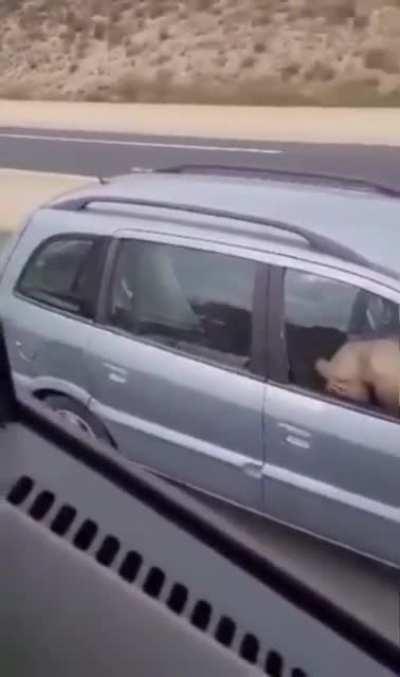 Vehicular shenanigans