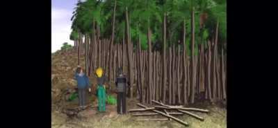 Wolf Tracer’s Dinosaur Island