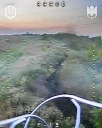 Ukraine's 427th Separate Regiment of Unmanned Systems “Rarog” destroyed multiple Russian soldiers, some of whom were dressed in leaf suits. Published October 13, 2025