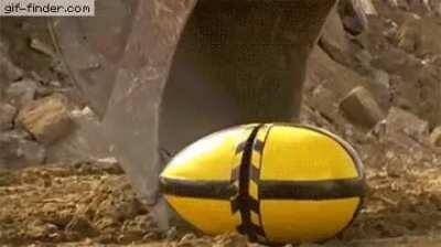 Дикая природа удивительна