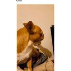 i actually laughed at this one