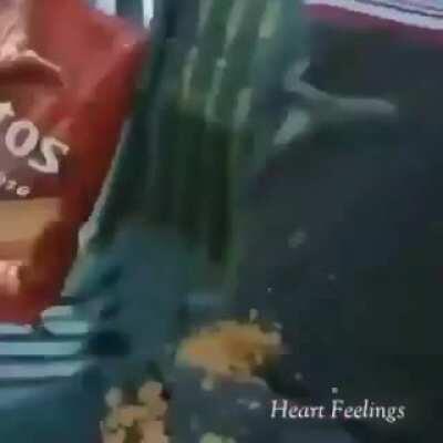 Peter parker pulling the women in