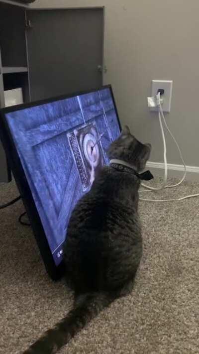 They keep disappearing, ma!