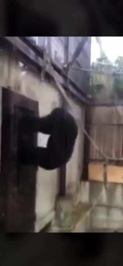 Me trynna get out of playstation jail after I get reported for excessive cursing