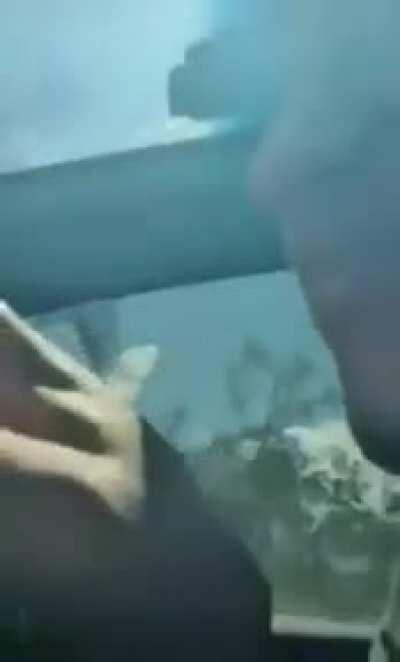 Imagine this😂😂