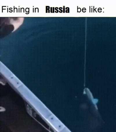 russian fishing 5 gameplay
