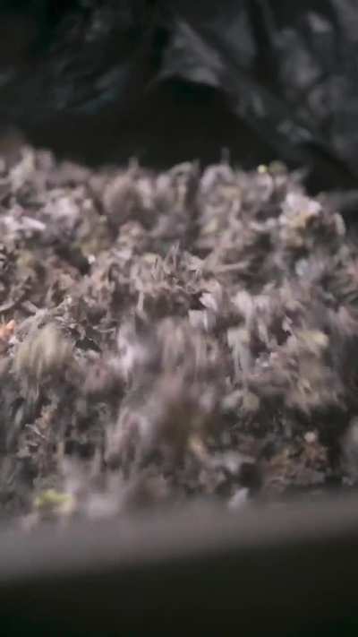 Is this too cinematic for a weed video? 