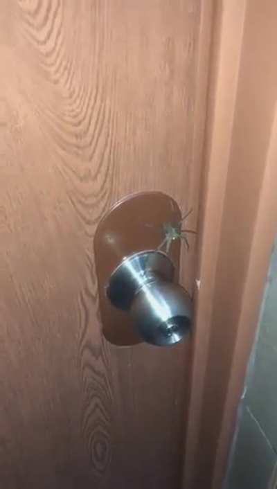 Next time leave through the bathroom window