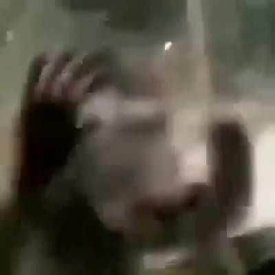 cellbits - Video #5681