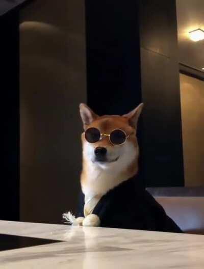 Dogecoin hodlers right now