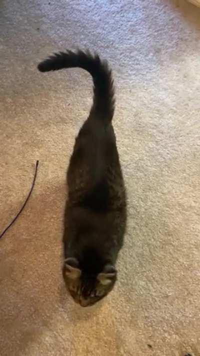 She makes a good point.