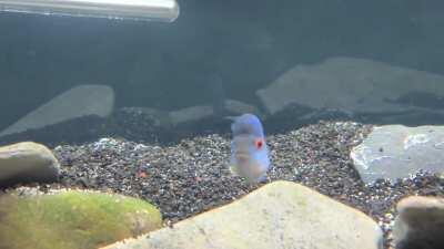 He's mad I filled in his favourite hole when I cleaned