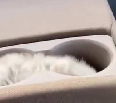 Ah so that is what Cup Holders are for.