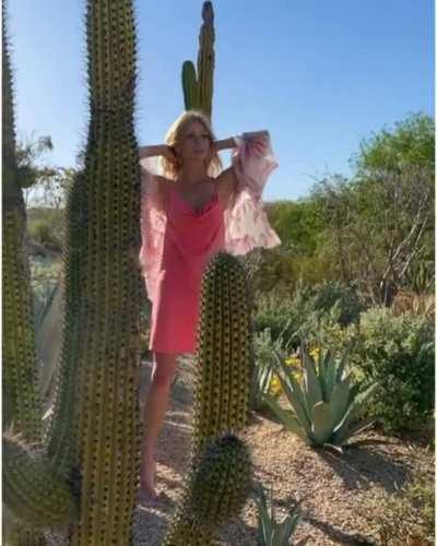 “On Wednesdays we wear pink”