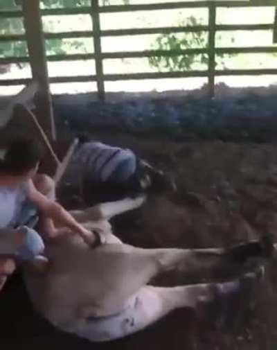 Not how you brand it