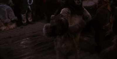 RoTJ if it had a “where are they now” ending