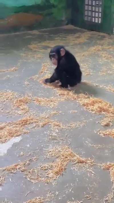 We shall name him Haroomba