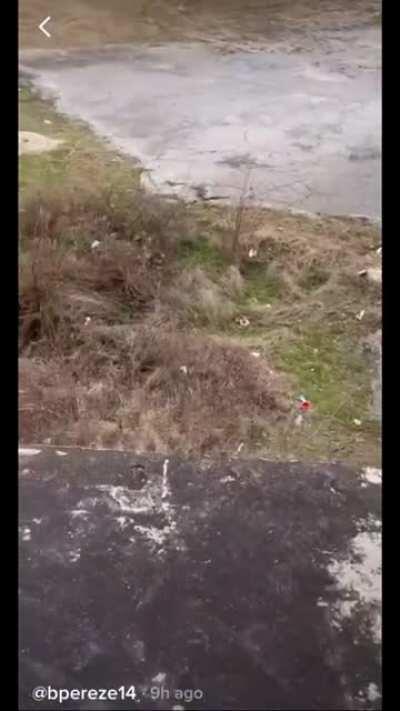 Out having fun with the friends