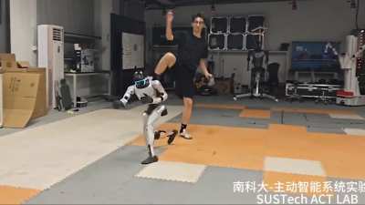 Training robot fighters