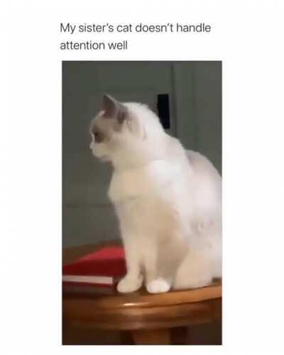 What’s that noise!