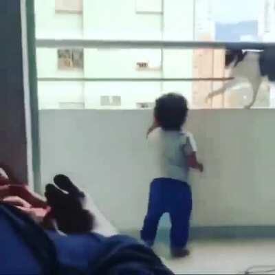 Cat preventing kid from climbing up to balcony ledge