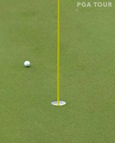 Sergio takes a divot on the green