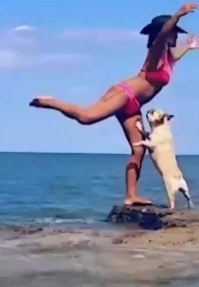 That'll do Frenchie, that'll do.