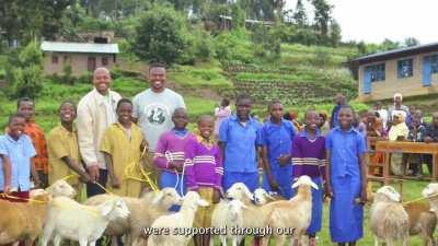 🦍❤️🦍Message from Dian Fossey to Apes who Adopted Apes🦍❤️🦍