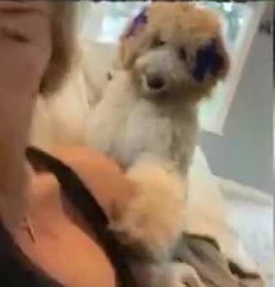 this is what jealousy looks like