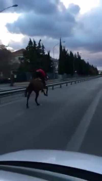 HMFT after I ride this horse