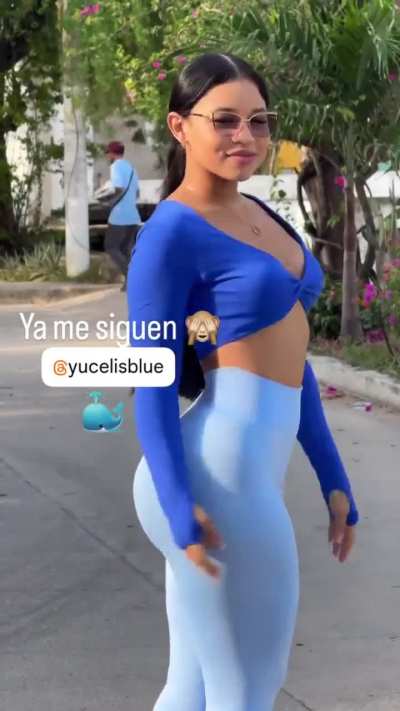 Yucelis Ferrer (@yucelisblue)