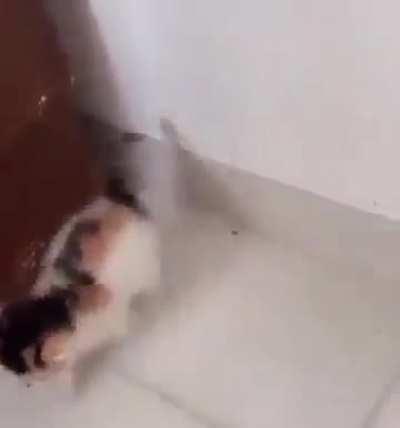 She is faster then light