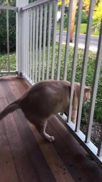 Morning after the New Year's Eve celebrations