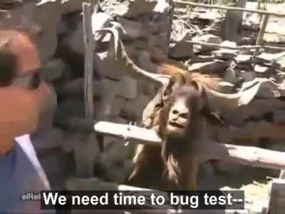 Raw footage of a freelancer talking to a client