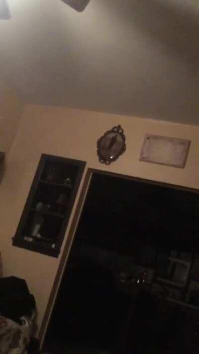 Am I allowed to post this? This was in my house last year. Scared me so bad. Luckily I don’t live there anymore (have more vids)