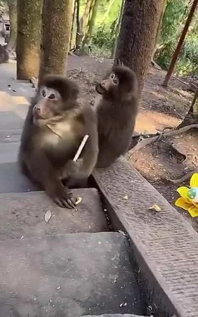 Il mio amico e la sua crush