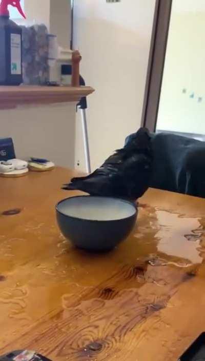 Now I’m all wet...