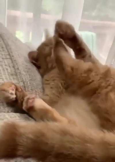 Betrayed by his own feet