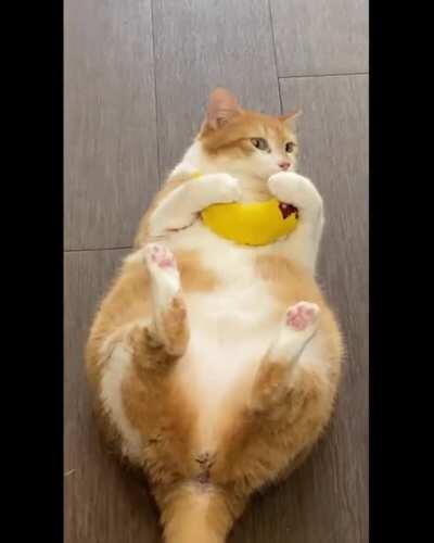 Something goes wrong when running large application