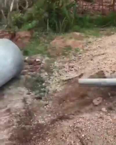 Great idea, poor planning, failed execution