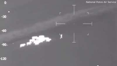 Cows trap suspect running from police