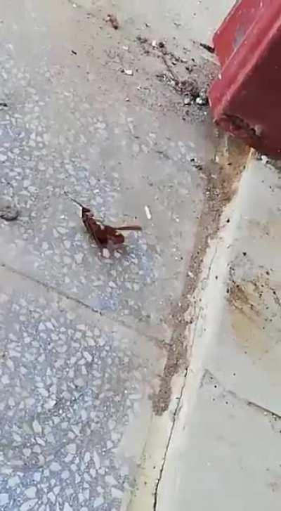 Jurassic World Alternate Ending