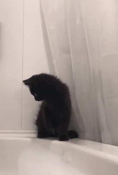 My cat 1v1ing the bath. Very intense. Not for the faint of heart.