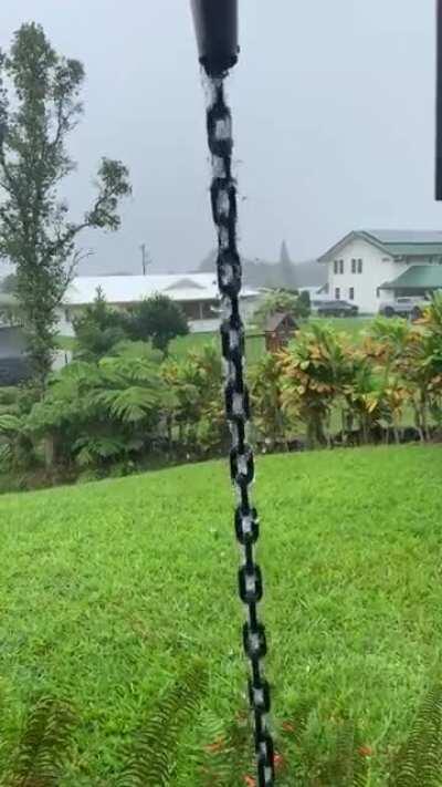 My vacation in hilo begins ... I am loving it