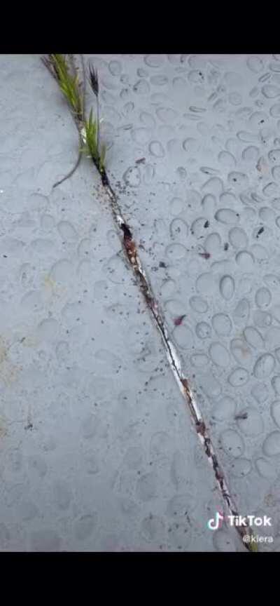 Working that ass 🥵🍑