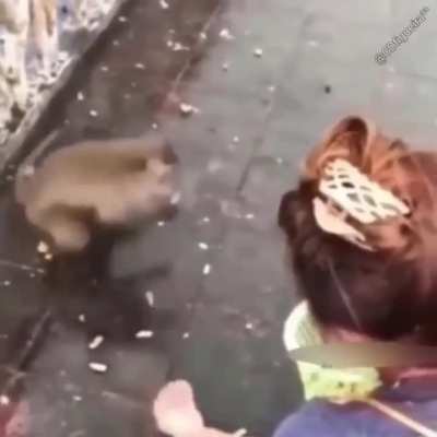 ILHADOKONG - Video #2220