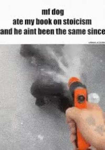 Clam words of wisdom